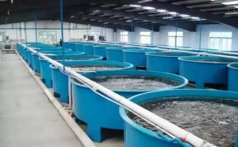 空氣源熱泵恒溫水產(chǎn)養(yǎng)殖 空氣源熱泵恒溫水產(chǎn)養(yǎng)殖