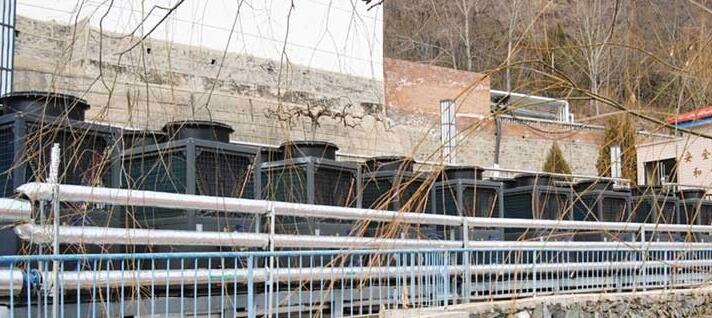 �՚�Դ��ˮ�������P(gu��n)֪�R(sh��)����Щ��